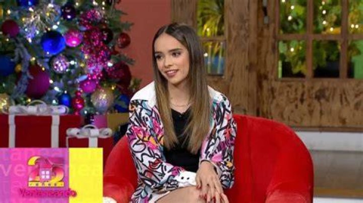 alana lliteras net worth alana lliteras net worth