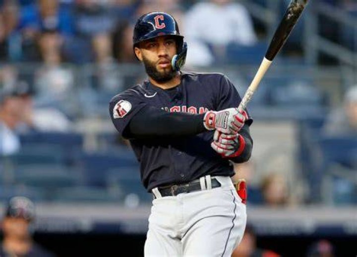 Amed Rosario Brother