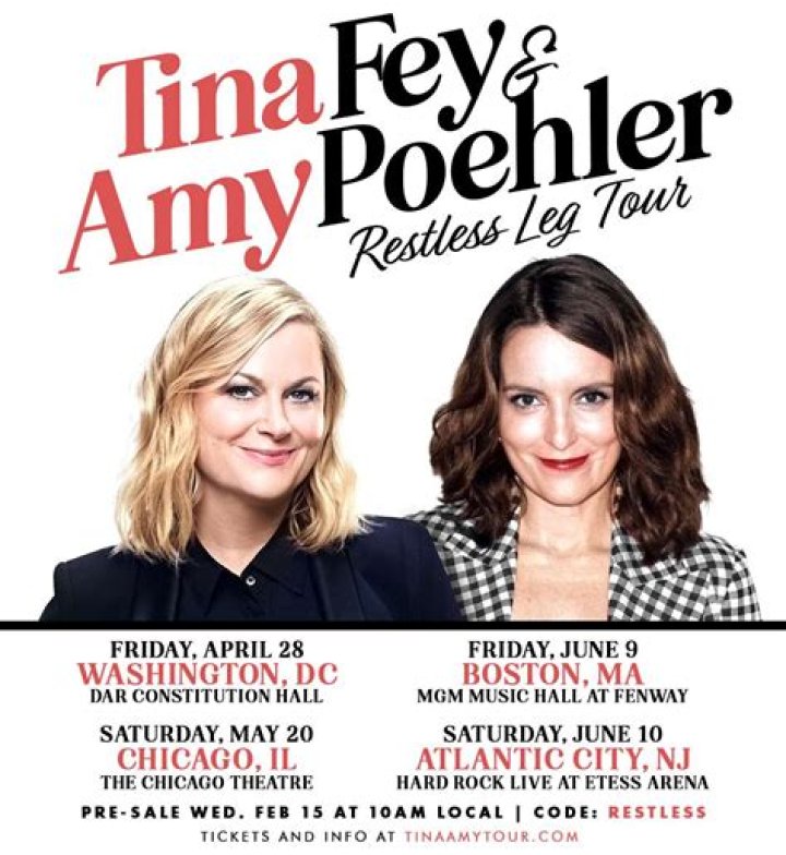 Amy Poehler comedy
