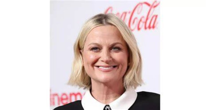 Amy Poehler notable achievements