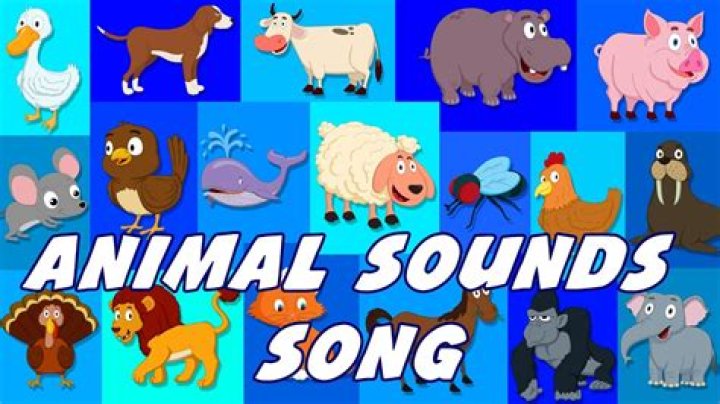 Animal Sounds Song - Lets go to the Farm & Zoo! - pop songs about zoo animals