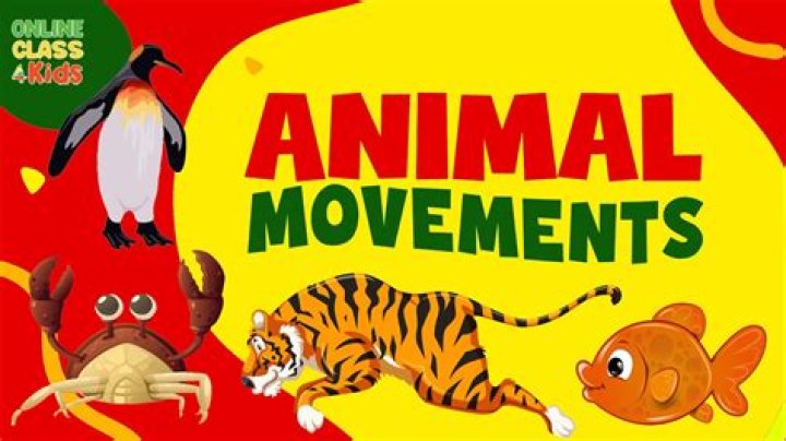 Animals in Action | Movement Song for Kids | Jack Hartmann - pop songs about zoo animals