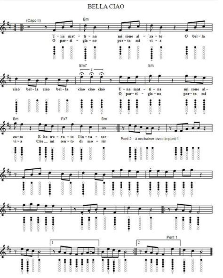 Bella Ciao Whistle - Whistling for Birds, Cockatiels, Parrots and Budgies - songs with whistling intro