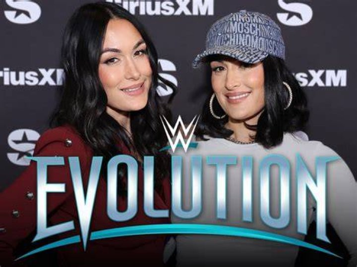 Brie Bella WWE debut