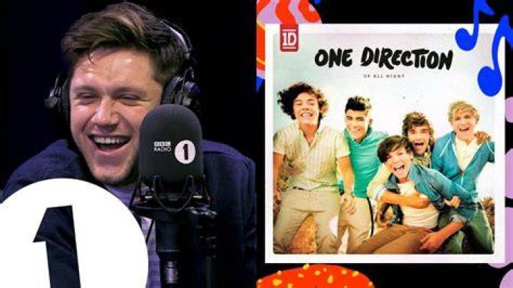Can Niall Horan Remember His Own Lyrics? - songs niall horan wrote for other artists
