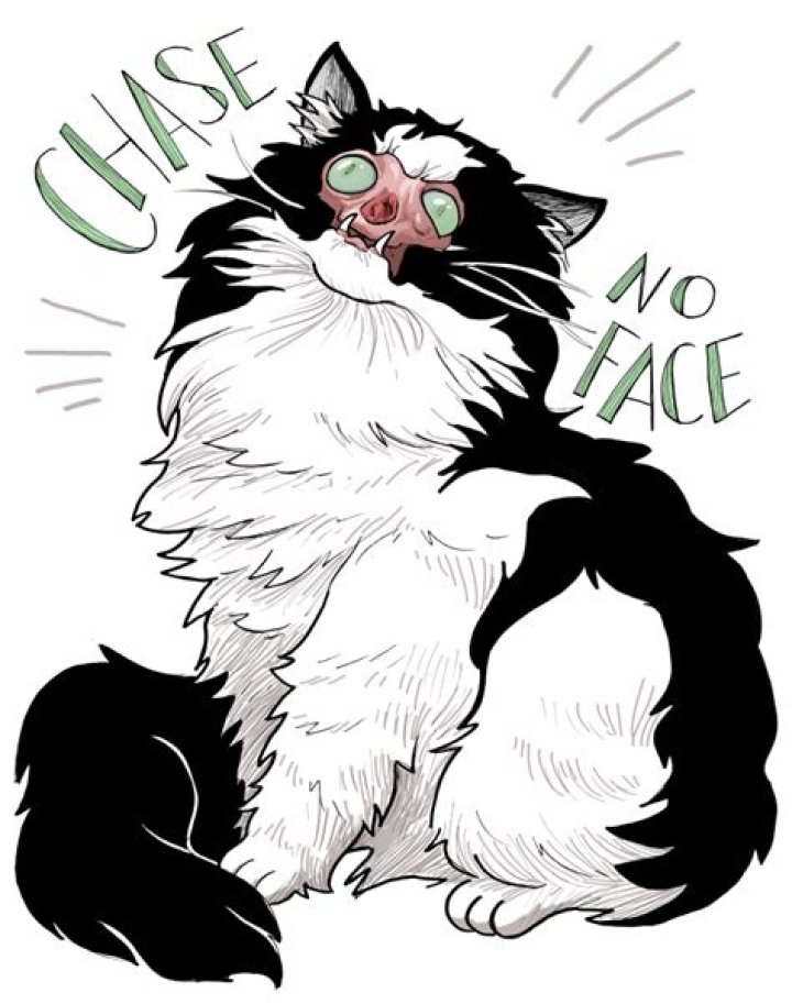Chase No Face