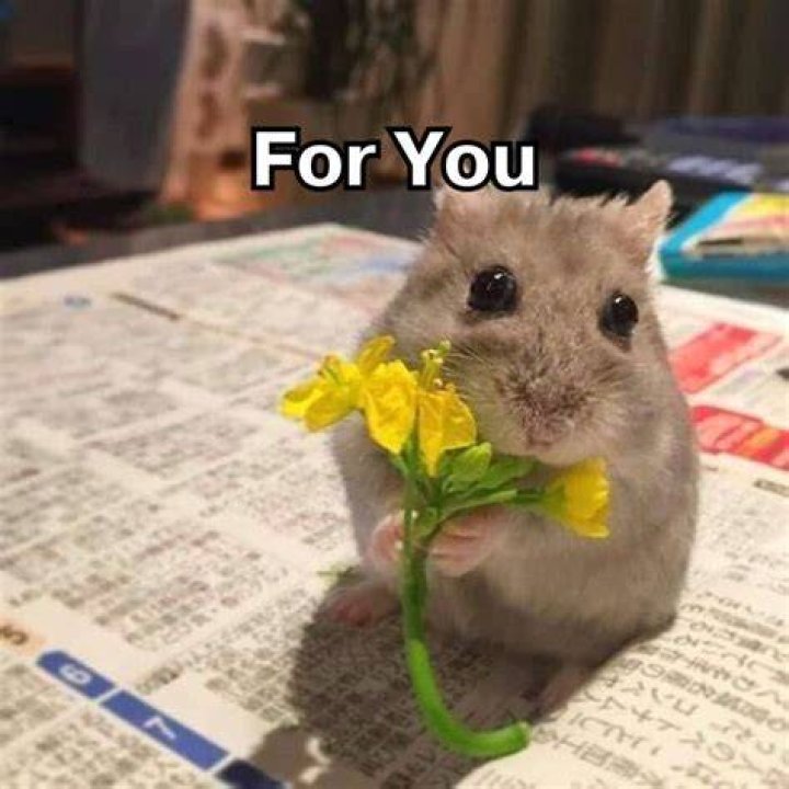 Cute meme for you to share