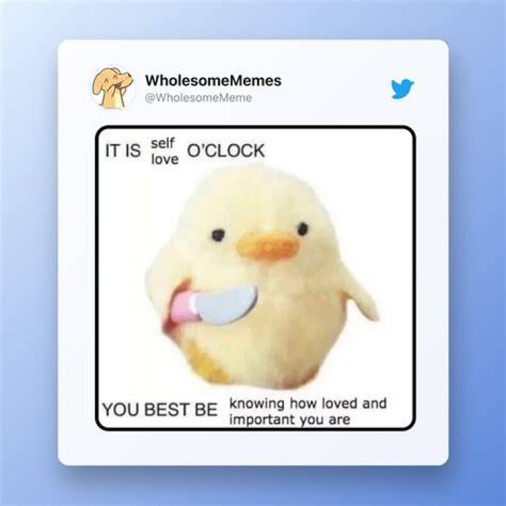 Cute meme on the internet