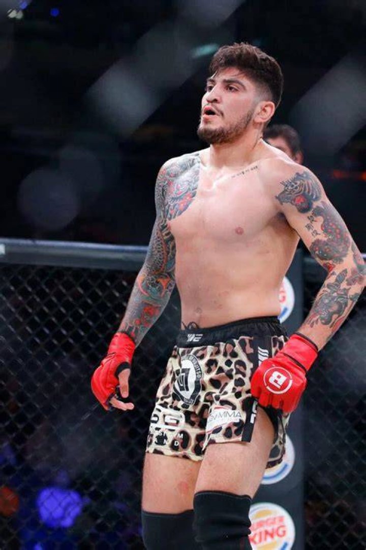 Dillon Danis Net Worth