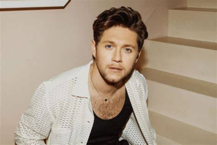 Does Niall Horan Tell His Exes When He Writes Songs About Them? - songs niall horan wrote for other artists
