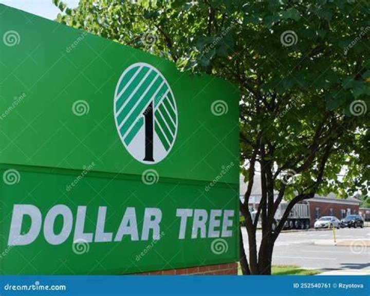 Dollar Tree Financing and Support