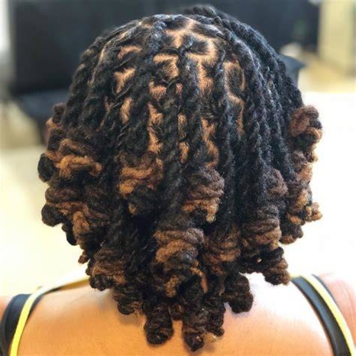 Dreadlock bantu knots Dreadlock bantu knots