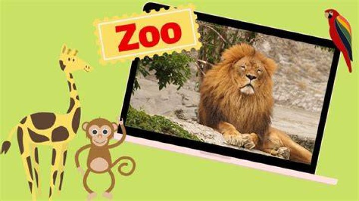 Educational Video - Zoo Animals - At the Zoo - English for Kids - Kids Vocabulary - pop songs about zoo animals