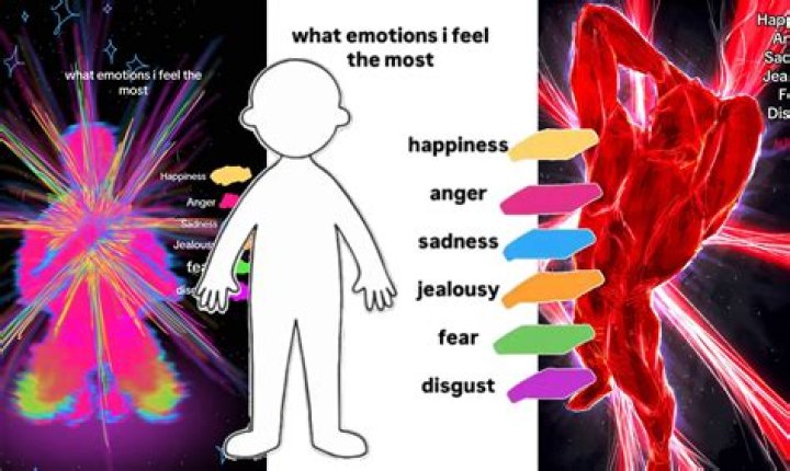 Feel