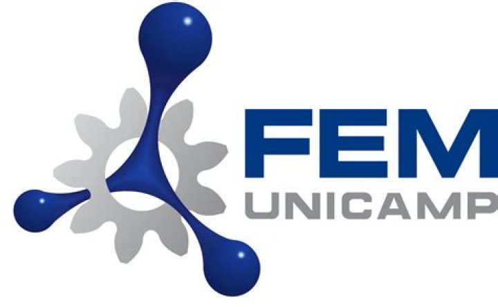 Fem
