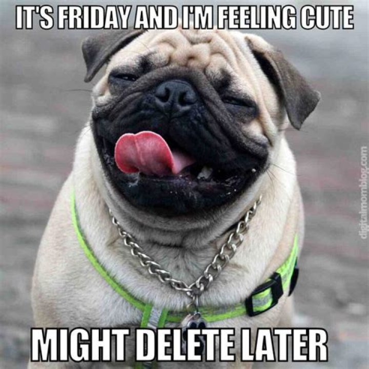 Friday memes