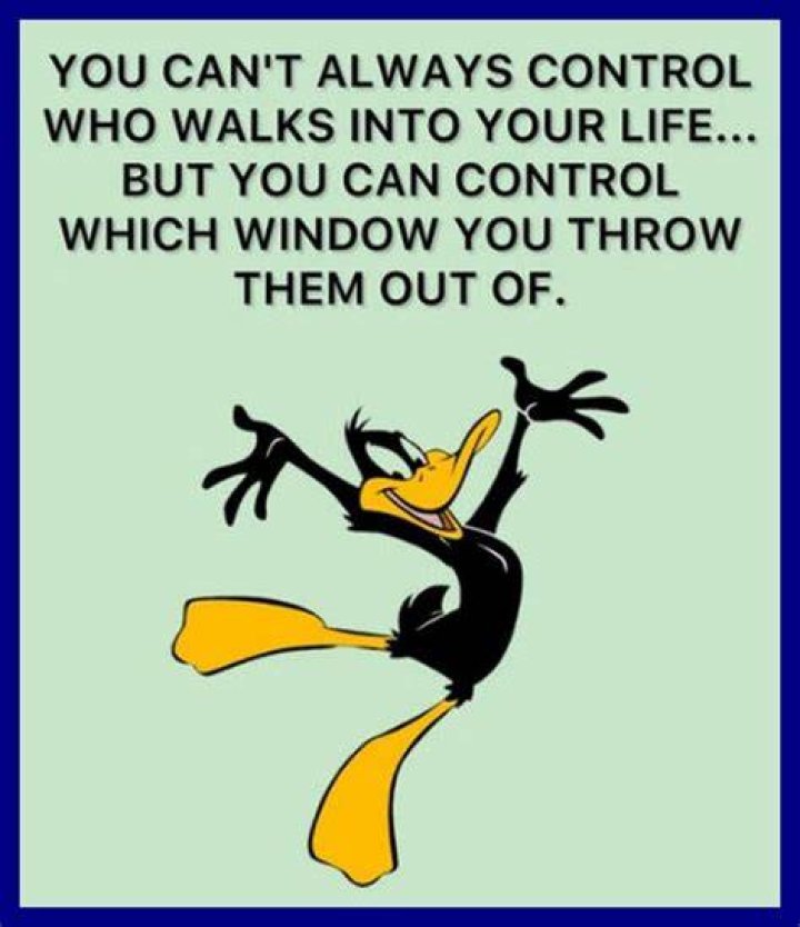 Funny meme for your amusement