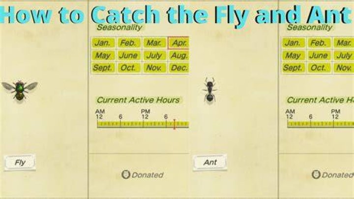 how to catch flies acnh