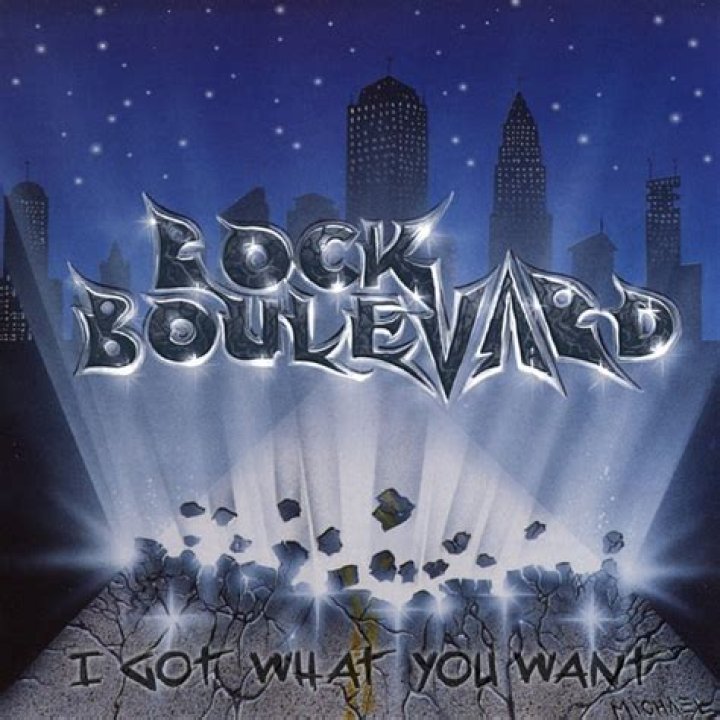 I Got What You Want - honey 2 songs