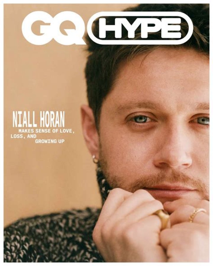 i wrote a niall horan song...this is how it went | #heaven #niallhoran - songs niall horan wrote for other artists