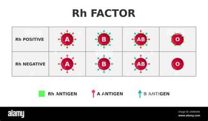 Is Rh-negative blood valuable? Is Rh-negative blood valuable?
