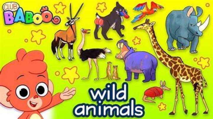 Learn Zoo Animals for Kids | What Is It? Game for Kids | Maple Leaf Learning - pop songs about zoo animals