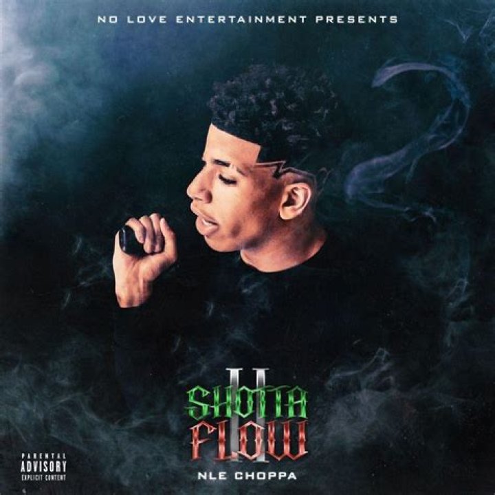 NLE Choppa - Shotta Flow Remix ft. Blueface (Directed by Cole Bennett) - gay remix of songs