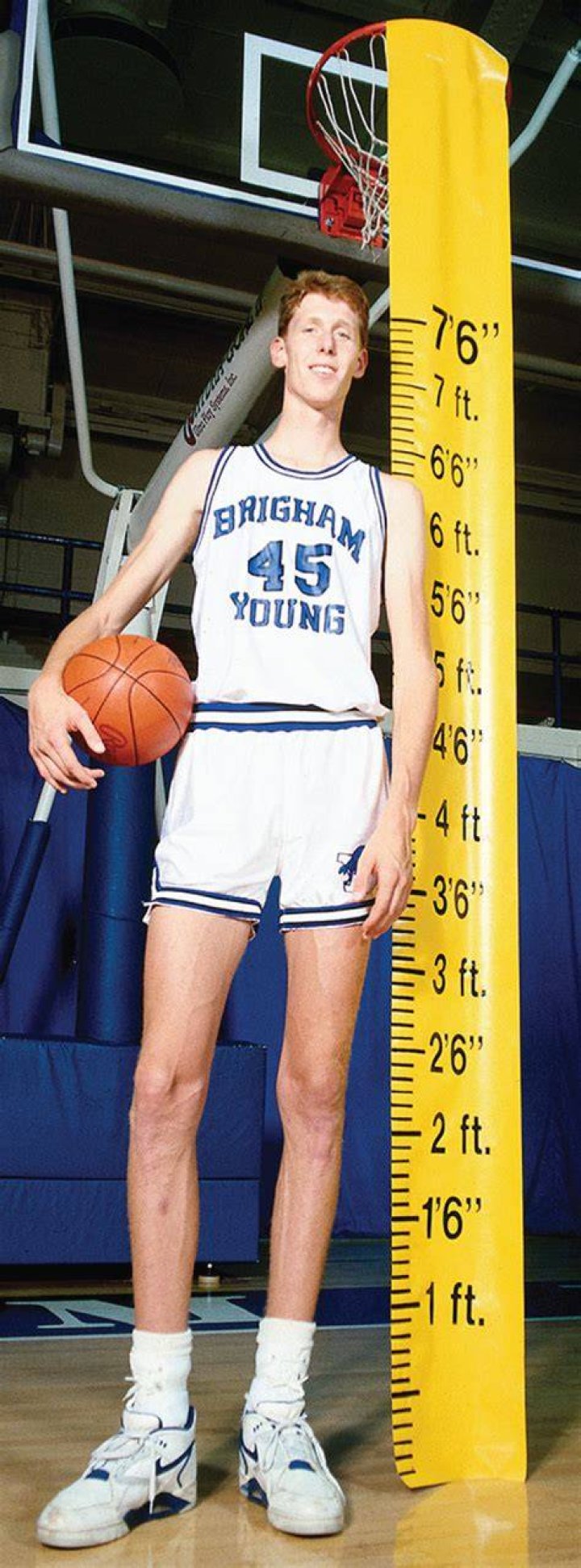 shawn bradley height shawn bradley height