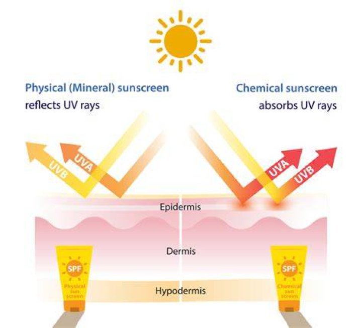 SunScreenr Competitors SunScreenr Competitors