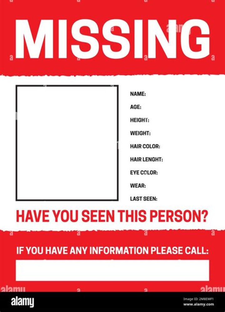 The promotional poster for Missing: Dead or Alive on Netflix