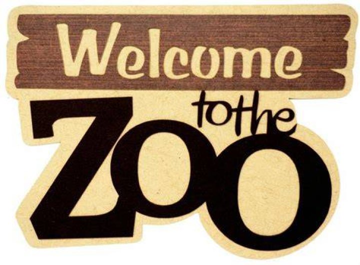 Welcome to the Zoo | Count to 100 | Counting by 1's | Counting Song for Kids | Jack Hartmann - pop songs about zoo animals
