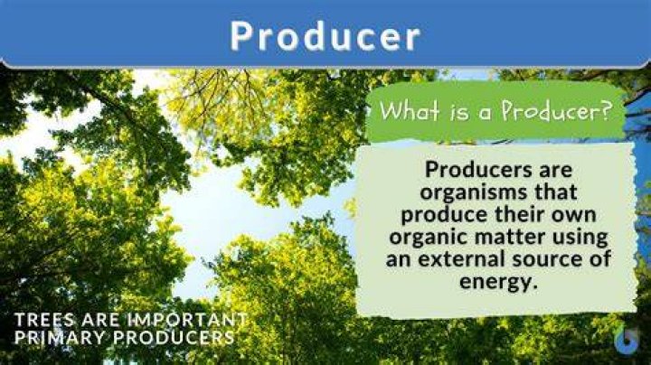 What do producers look for when casting What do producers look for when casting