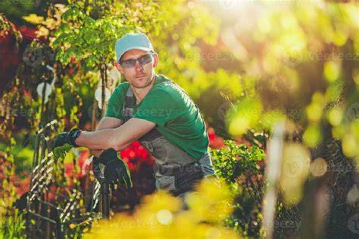 Wnjoying in his garden