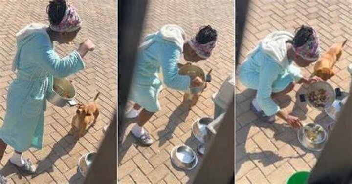 Woman catches daughter eating dog's food Woman catches daughter eating dog's food