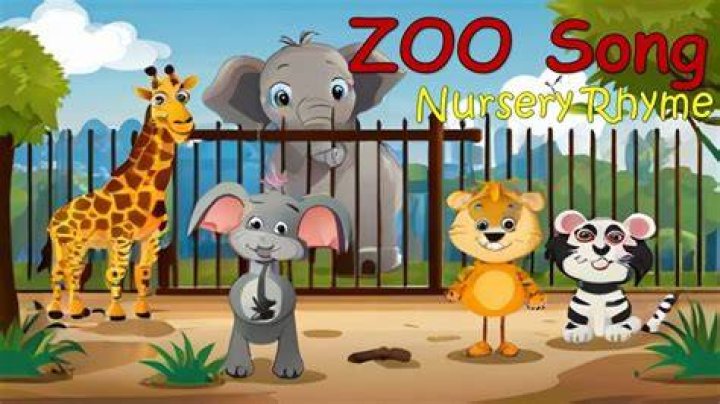 Zoo Song | We're Going to the Zoo | Kindergarten & Preschool Songs| Sing & Dance Little Action Kids - pop songs about zoo animals